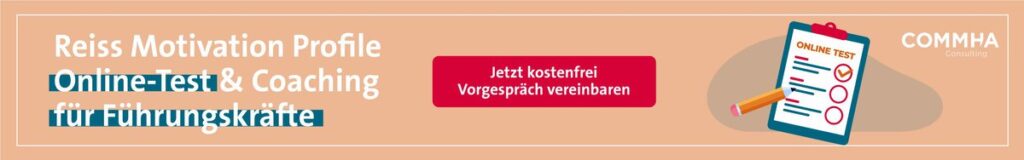 Das Reiss Motivation Profile erfasst die Antriebs- und Motivationsstruktur einer Person. ► Steven Reiss ► 16 Lebensmotive ► RMP-Master